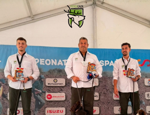 Cinco pódiums y un pleno histórico: Extremadura brilla en el Campeonato de España de San Huberto