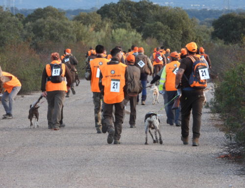 Antonio Blasco y Javier Polo se imponen en los provinciales de Caza Menor con Perro